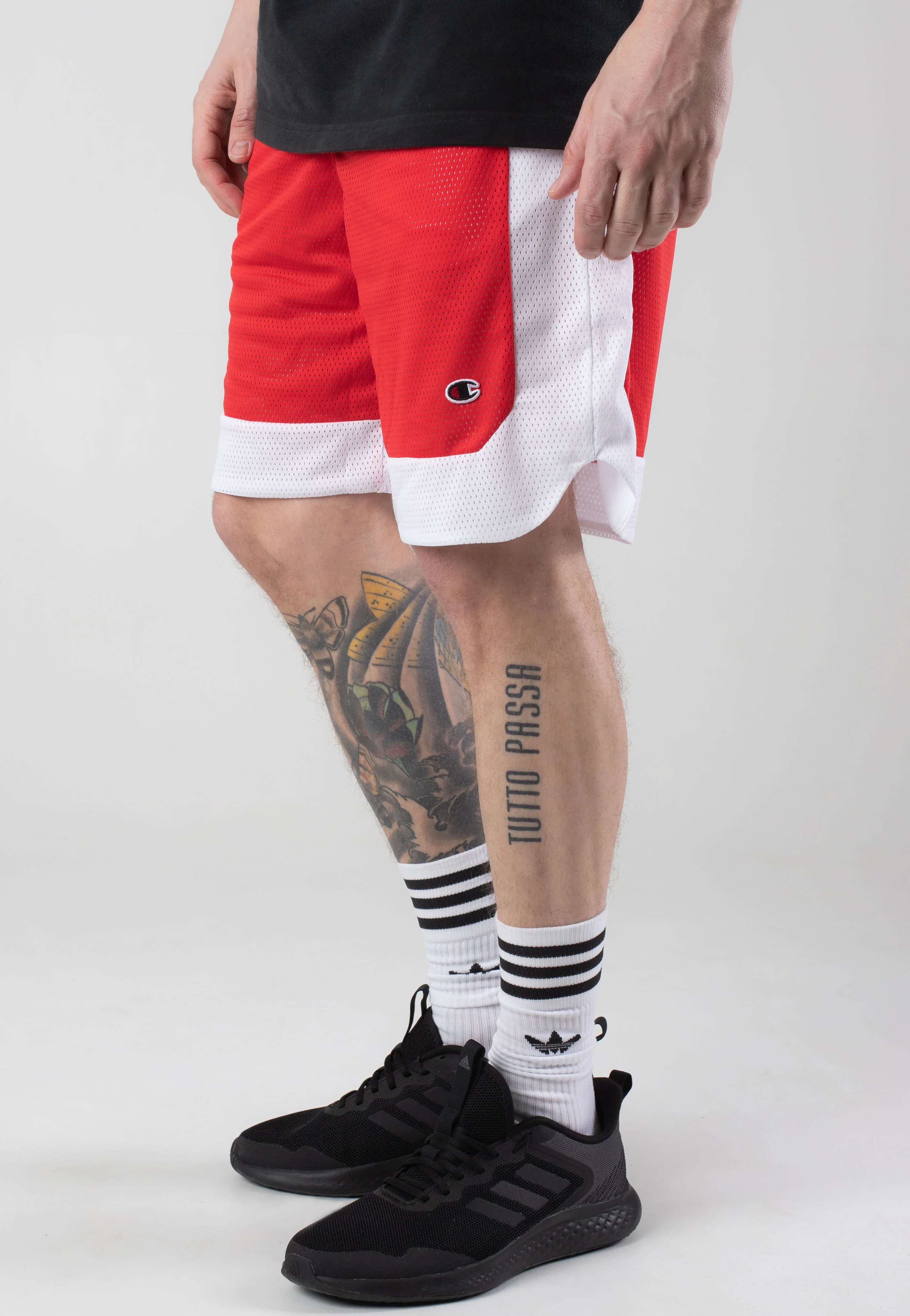 Bermuda SED - Shorts - Image 3
