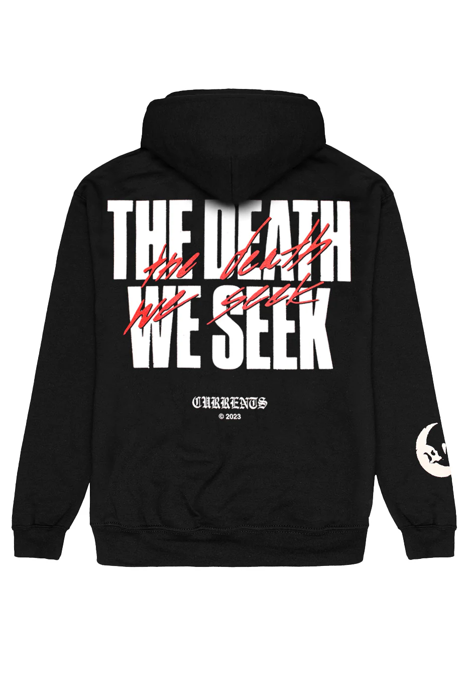 TDWS Big Text - Hoodie - Image 2