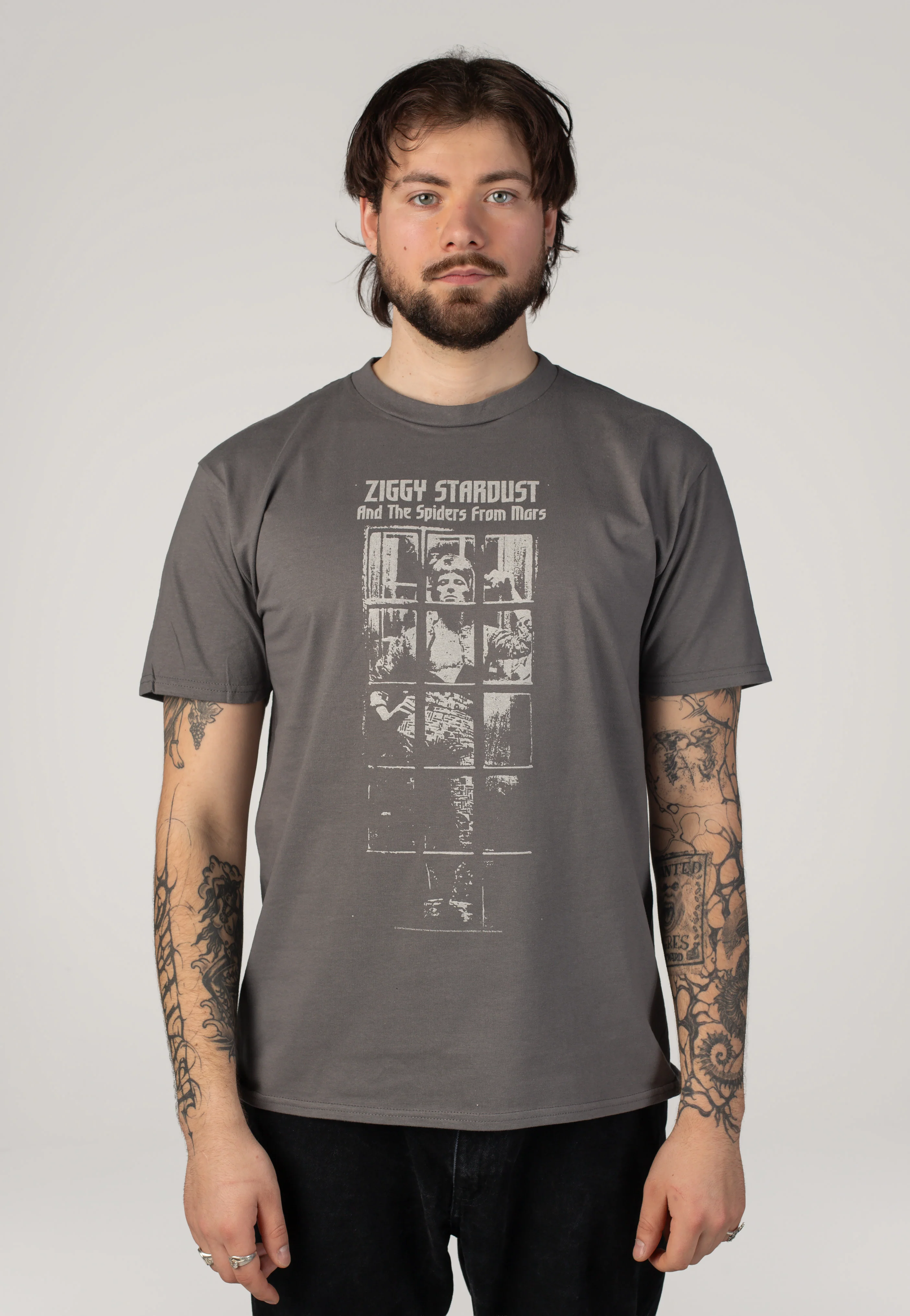 Ziggy Stardust Grey - T-Shirt - Image 3