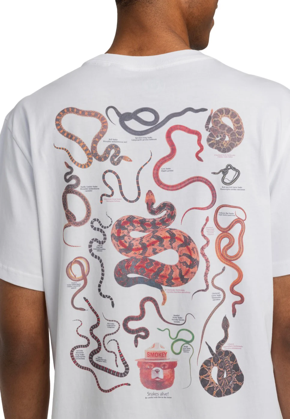 Element x Smokey Bear - Nest Optic White - T-Shirt - Image 3