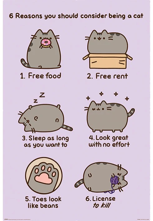 Reasons To Be A Cat - Poster - Image 2