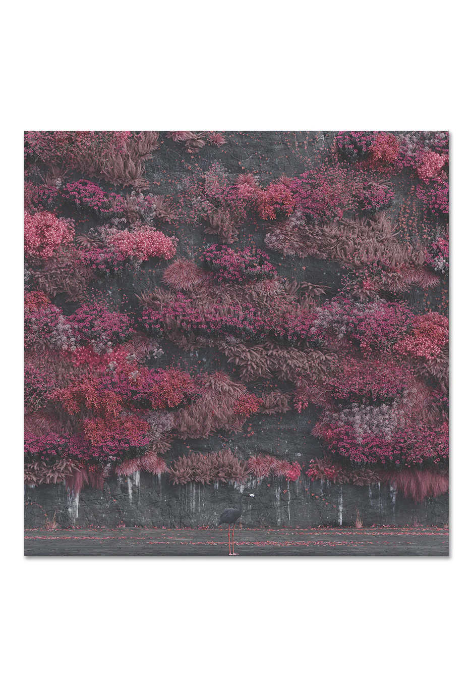 Even In Arcadia - 2 Opaque Black Vinyl - Image 2