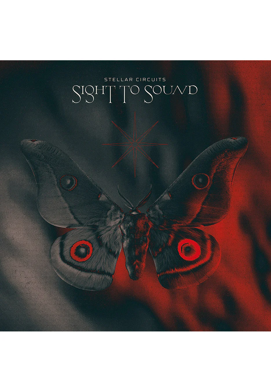 Sight To Sound Black/White - Marbled 2 Vinyl - Image 2