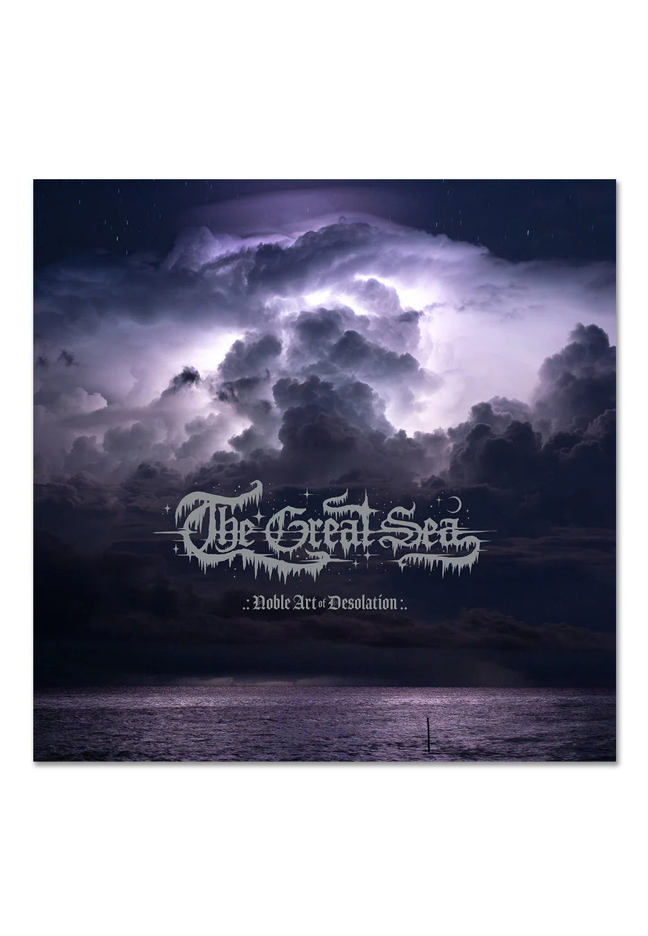 Noble Art Of Desolation - Vinyl - Image 2