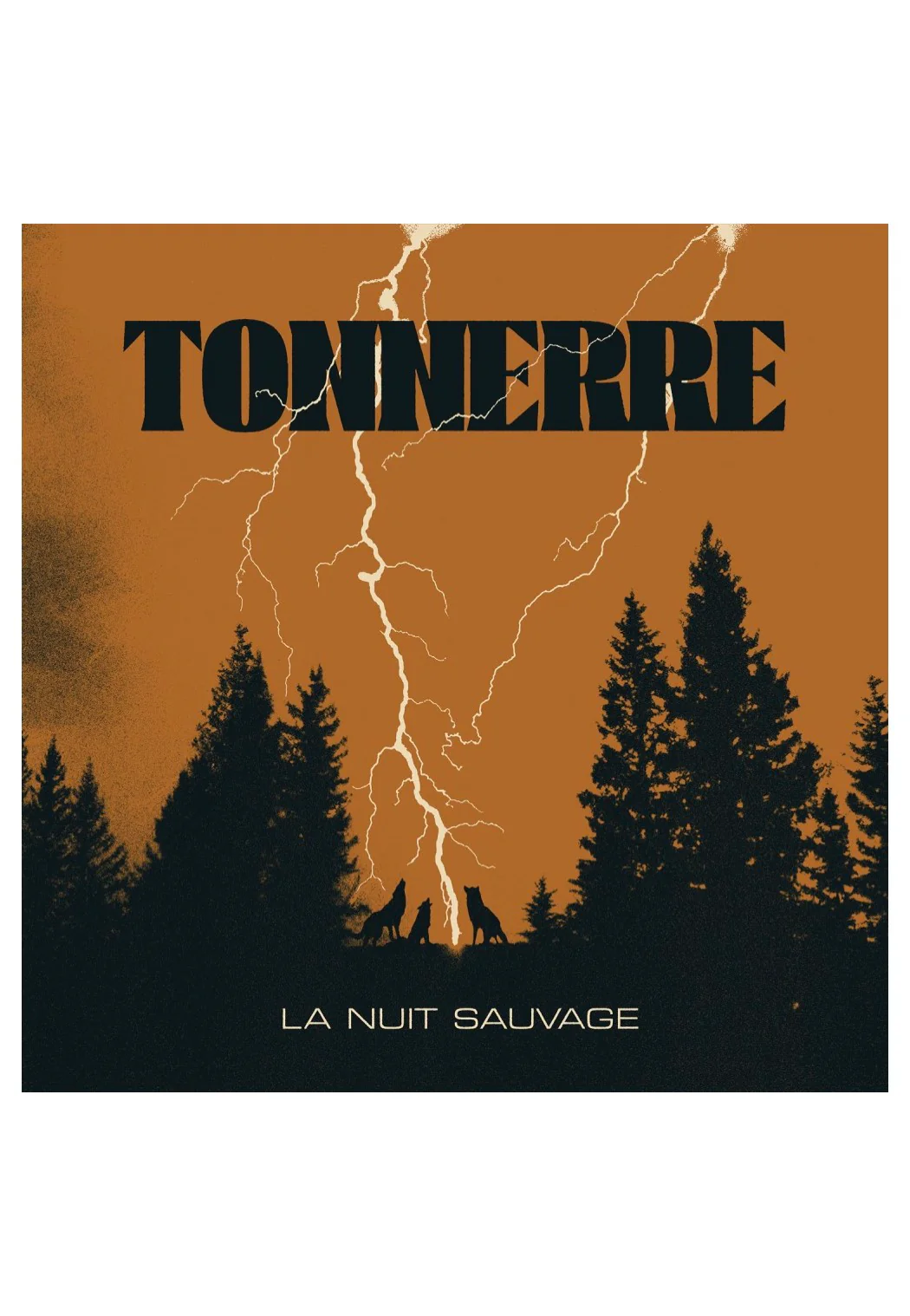 La Nuit Sauvage - CD