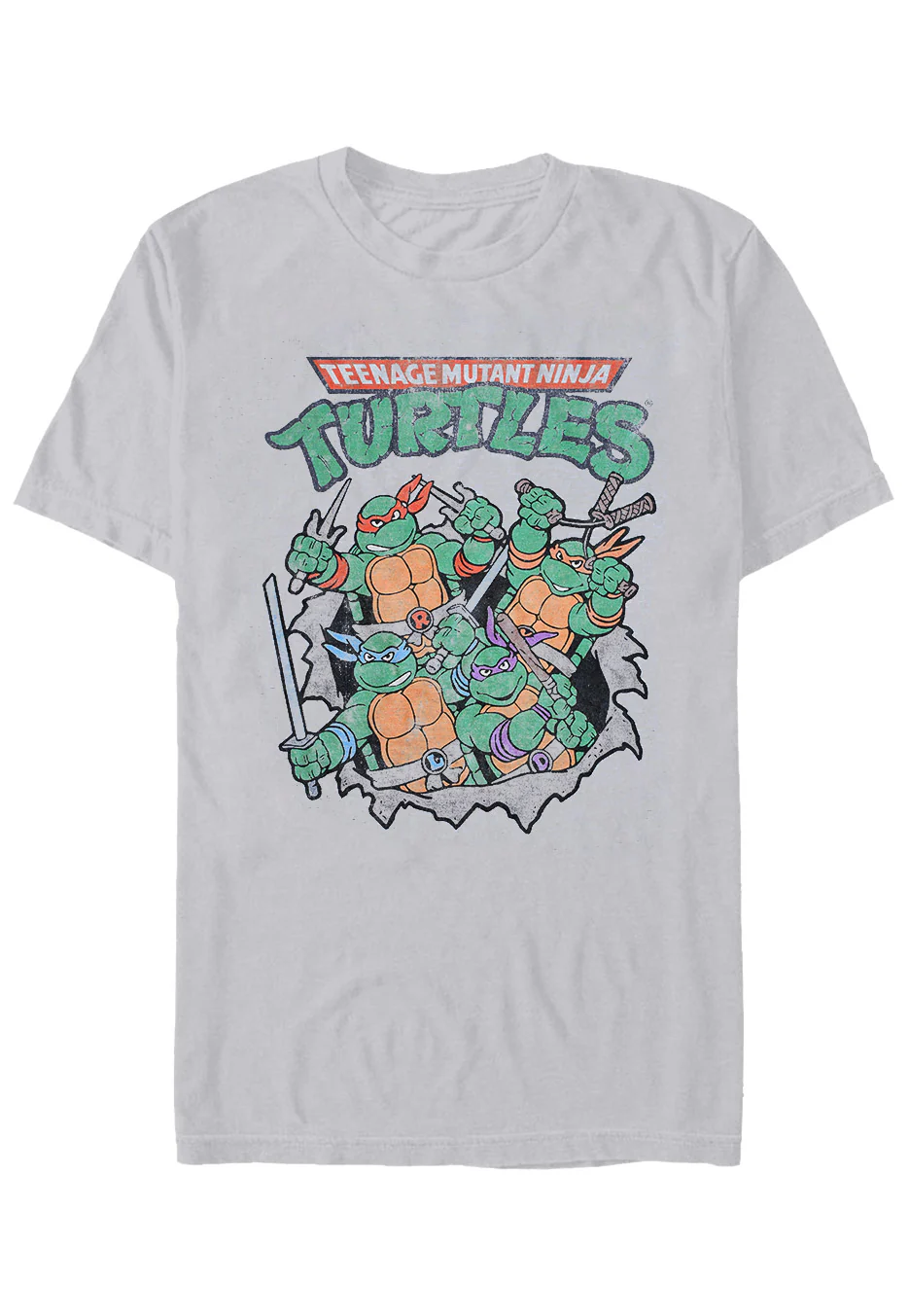 Turtle Group Heather Grey - T-Shirt